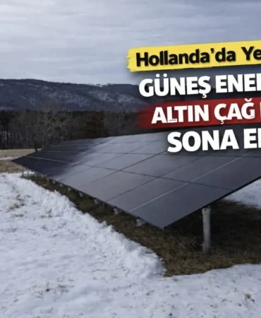 Screenshot_20260320_224316_ChatGPT