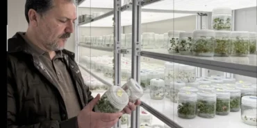 Screenshot_20260323_203825_Photo Editor