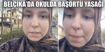 Screenshot_20260327_193800_Google