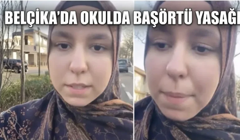 Screenshot_20260327_193800_Google