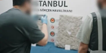 Screenshot_20260410_174553_Gallery