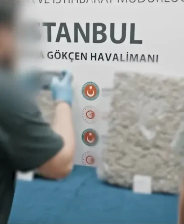 Screenshot_20260410_174553_Gallery