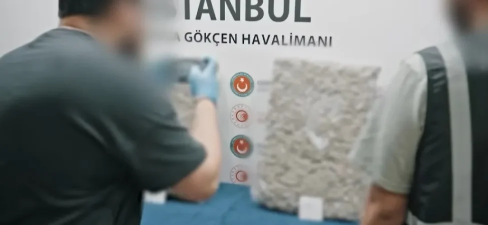 Screenshot_20260410_174553_Gallery