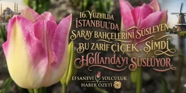 Screenshot_20260412_212303_Google