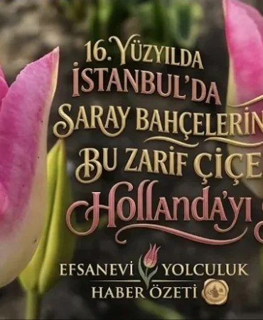 Screenshot_20260412_212303_Google