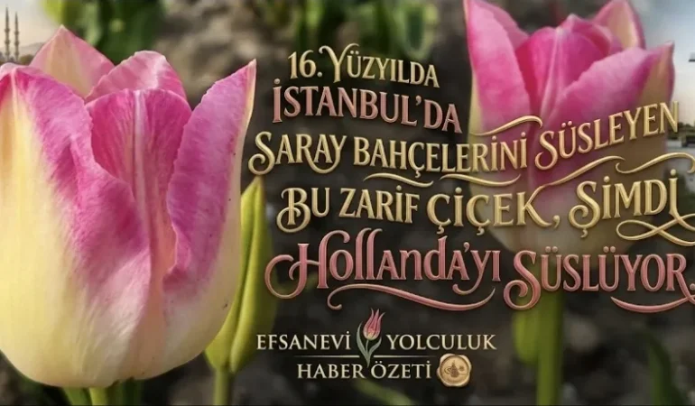 Screenshot_20260412_212303_Google