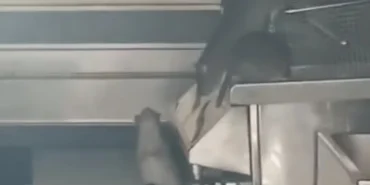 Screenshot_20260419_232212_Gallery