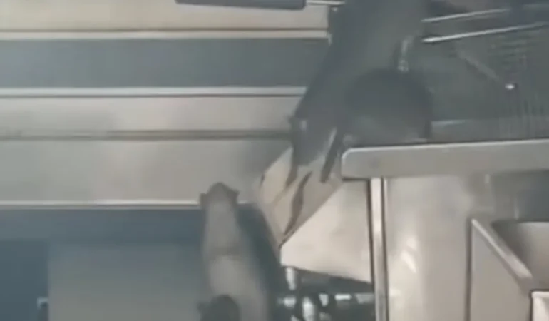 Screenshot_20260419_232212_Gallery