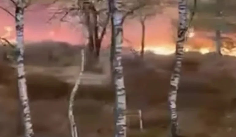 Screenshot_20260429_163059_Facebook