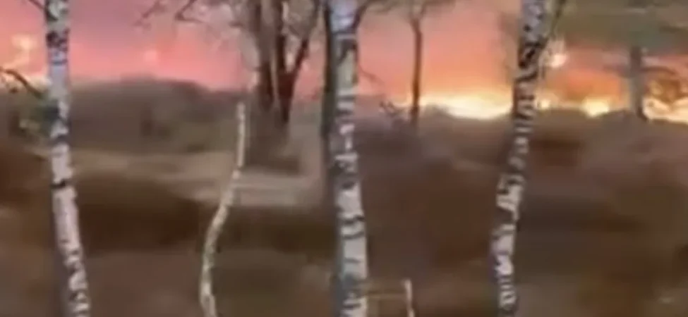 Screenshot_20260429_163059_Facebook