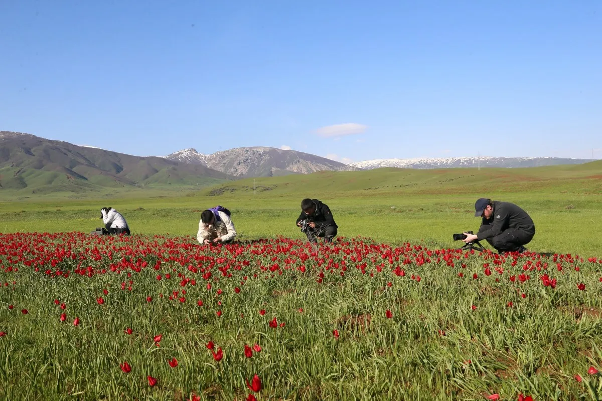 AA 20260502 41267906 41267888 MUS LALESI YABANCI FOTOGRAFCILARIN VE BELGESELCILERIN KADRAJINDA