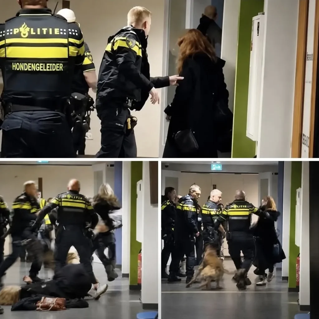 Zeist’te Skandal Görüntüler: Hamile Kadına Polis Şiddeti Gündemde