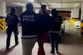 hollandalı