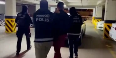 hollandalı