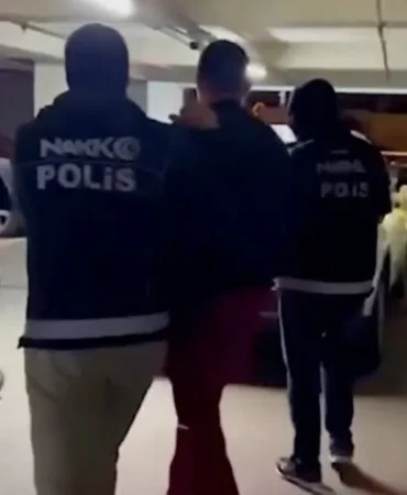 hollandalı