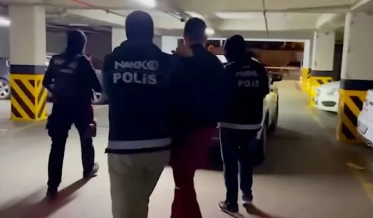 hollandalı