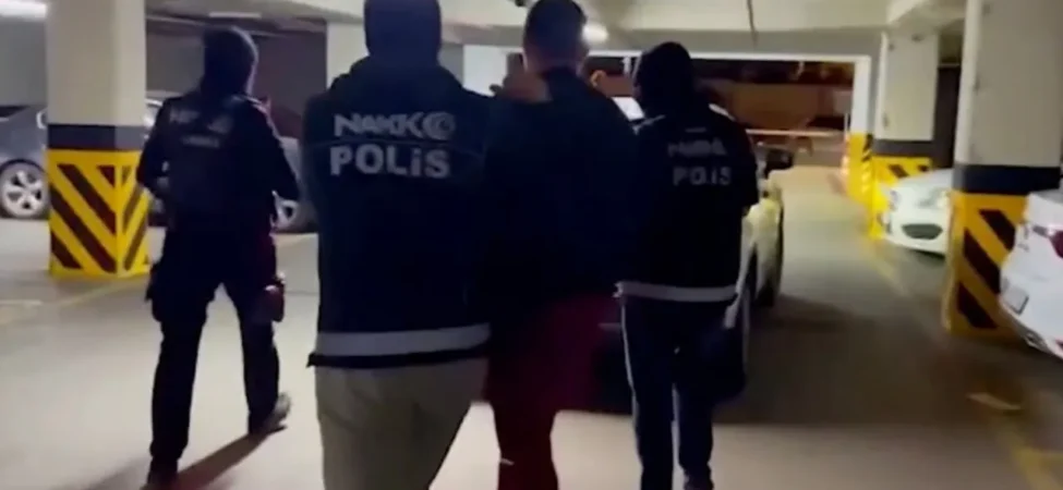 hollandalı