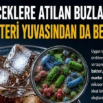 Buzhaber1