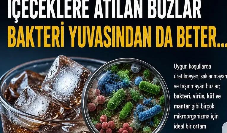 Buzhaber1