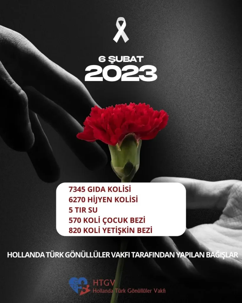HTGV8