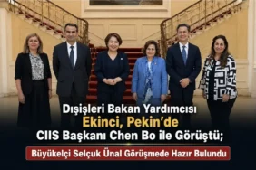 TPE,TİKDF ,Türk Kültür Derneği ve "Komite" Harekete Geçti, Ama Diaspora STK'ları Suskunluğunu Korudu 2 thumbnail