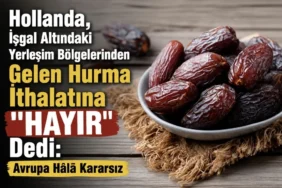 Ömer Çelik: Cumhurbaşkanı adayımız Sayın Recep Tayyip Erdoğan’dır 2 thumbnail