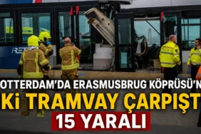 Hollanda'da Ulusal Lale Günü çiçekte birlik temasıyla kutlandı 1 thumbnail