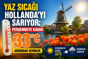 AB'de Ehliyetler Değişiyor: Dijital Dönem Başlıyor, Fiziksel Ehliyet İsteğe Bağlı Olarak kullanıma Devam 1 thumbnail