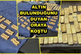 ALTINLAR