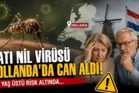 Hollanda'da kavurucu sıcaklara karşı acil önlem planı devrede. 1 thumbnail