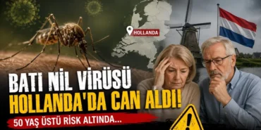 Batı Nil virüsü 01