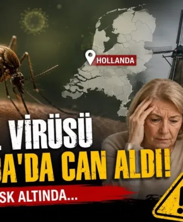Batı Nil virüsü 01