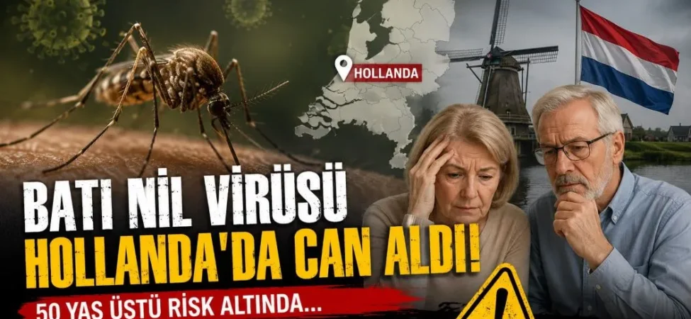 Batı Nil virüsü 01