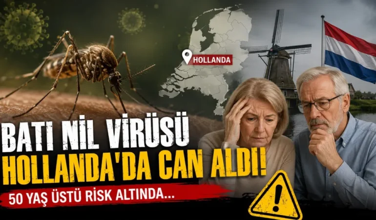 Batı Nil virüsü 1