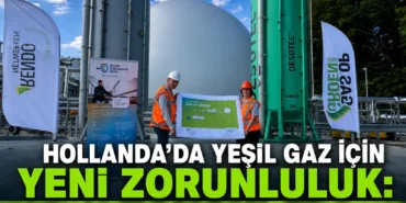 b69d8d07-60a9-4738-ade8-884045cffd57
