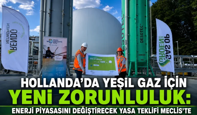 b69d8d07-60a9-4738-ade8-884045cffd57