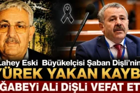 "UID Hollanda'dan Rotterdam'da Anlamlı 15 Temmuz Anması" 4 thumbnail