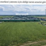 microsoft-tarla