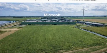 microsoft-tarla