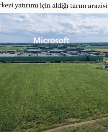 microsoft-tarla
