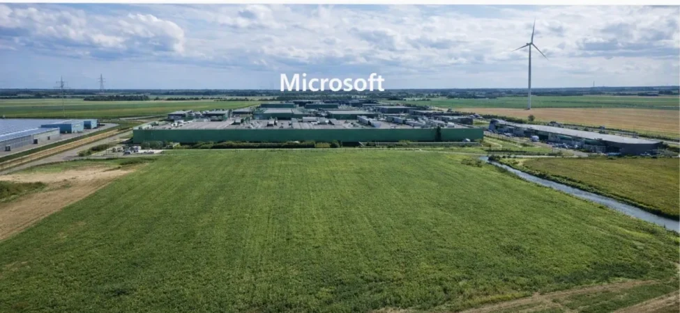 microsoft-tarla