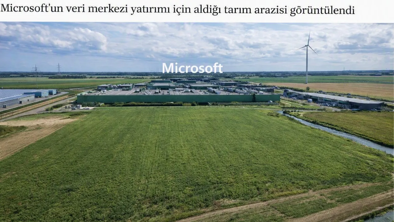 microsoft-tarla