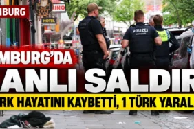 Türkiye'nin Yeni Lahey Büyükelçisi Fatma Ceren Yazgan, Hollanda Kralı'na Güven Mektubunu Sundu 2 thumbnail