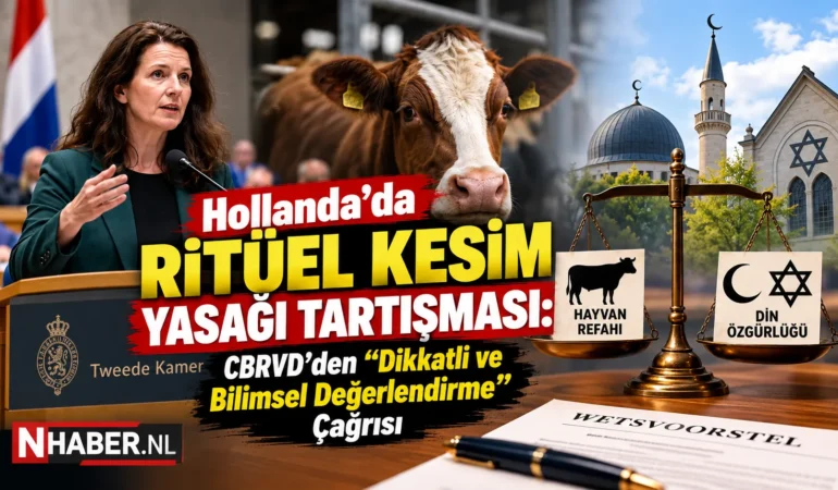 f92c6cf9-d25d-4ee7-aa7b-fb83f0bdd0a9